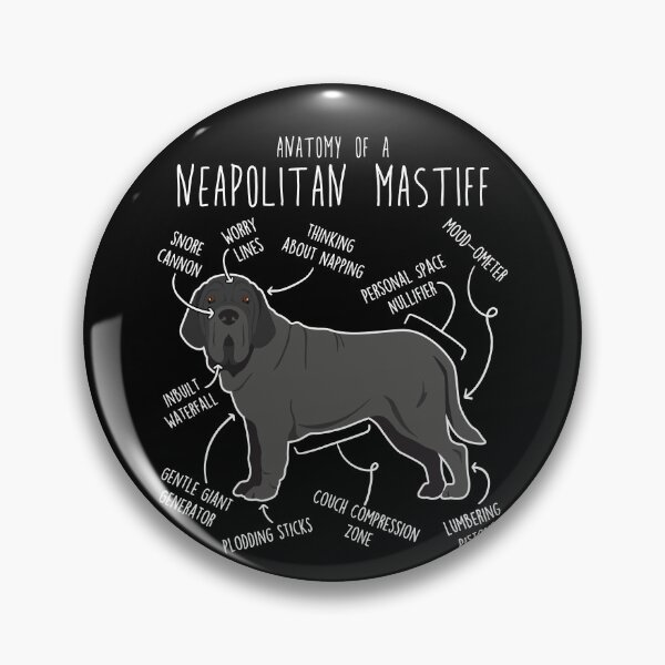 Item preview, Neapolitan Mastiff Dog Anatomy designed and sold by Clara Hollins.
