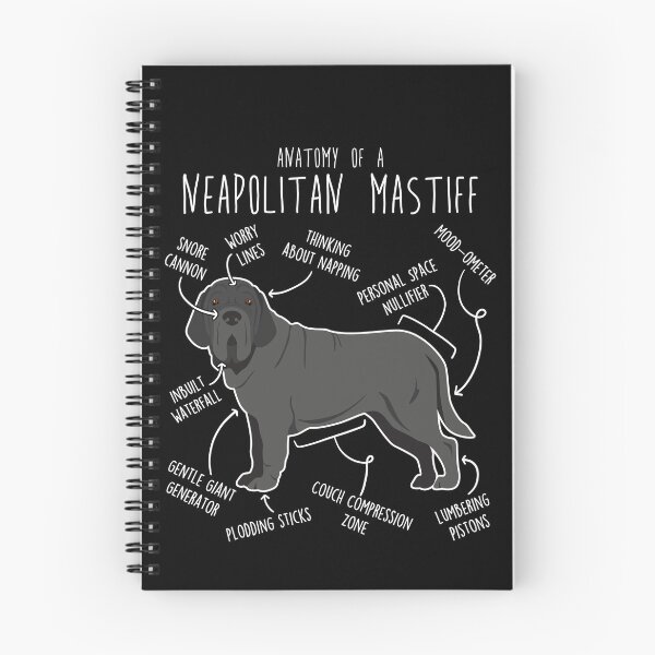 Item preview, Neapolitan Mastiff Dog Anatomy designed and sold by Clara Hollins.