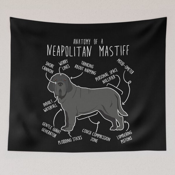 Item preview, Neapolitan Mastiff Dog Anatomy designed and sold by Clara Hollins.