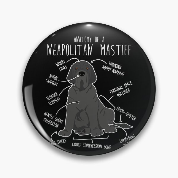 Item preview, Neapolitan Mastiff Dog Anatomy designed and sold by Clara Hollins.