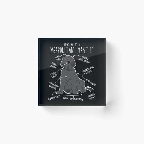 Item preview, Neapolitan Mastiff Dog Anatomy designed and sold by Clara Hollins.