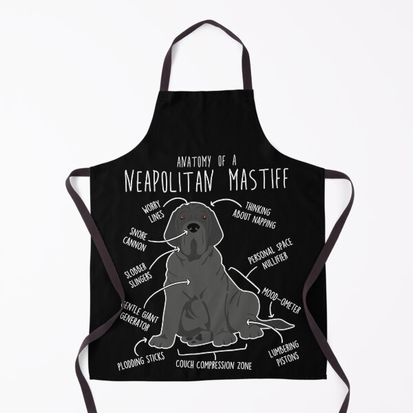 Item preview, Neapolitan Mastiff Dog Anatomy designed and sold by Clara Hollins.