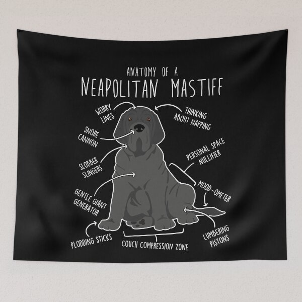 Item preview, Neapolitan Mastiff Dog Anatomy designed and sold by Clara Hollins.