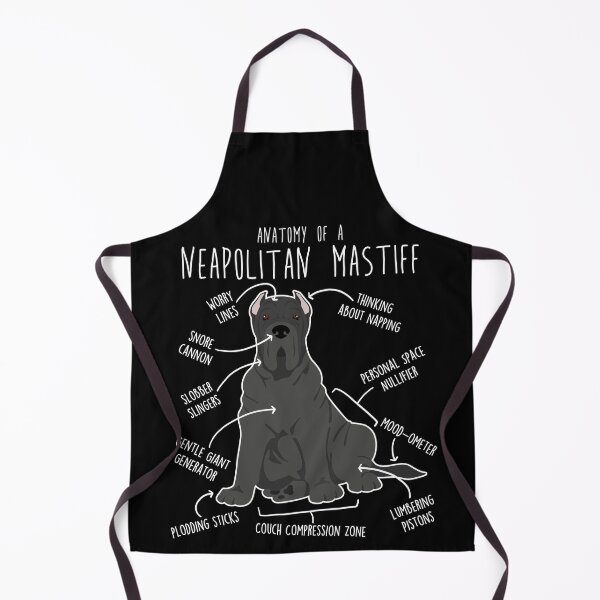 Item preview, Neapolitan Mastiff Cropped Dog Anatomy designed and sold by Clara Hollins.