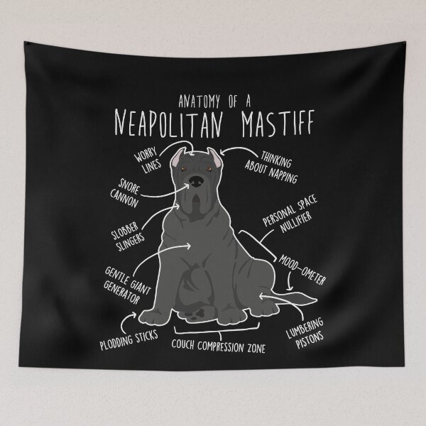 Item preview, Neapolitan Mastiff Cropped Dog Anatomy designed and sold by Clara Hollins.