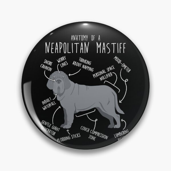 Item preview, Gray Neapolitan Mastiff Dog Anatomy designed and sold by Clara Hollins.
