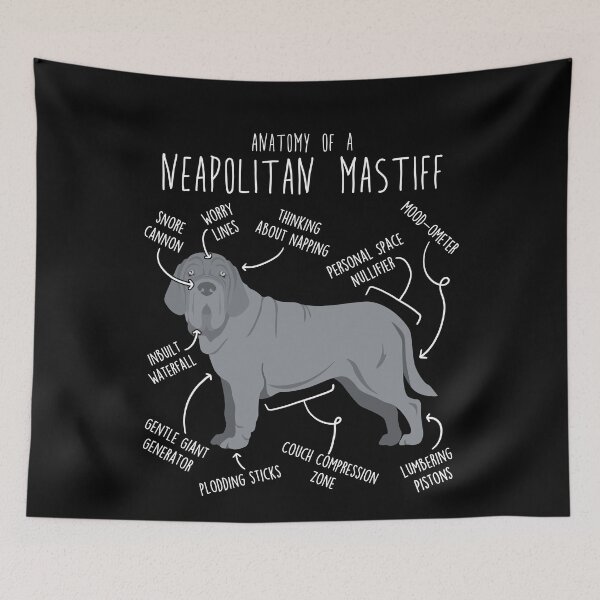 Item preview, Gray Neapolitan Mastiff Dog Anatomy designed and sold by Clara Hollins.
