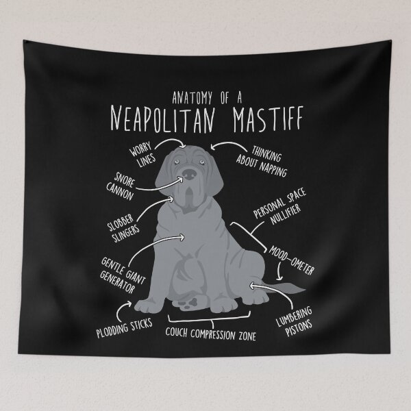 Item preview, Gray Neapolitan Mastiff Dog Anatomy designed and sold by Clara Hollins.