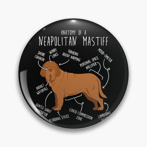 Item preview, Mahogany Neapolitan Mastiff Dog Anatomy designed and sold by Clara Hollins.