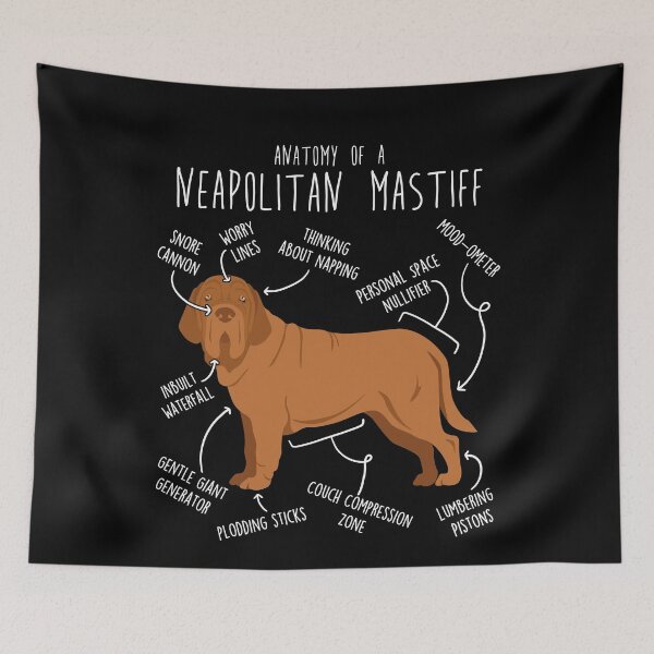 Item preview, Mahogany Neapolitan Mastiff Dog Anatomy designed and sold by Clara Hollins.
