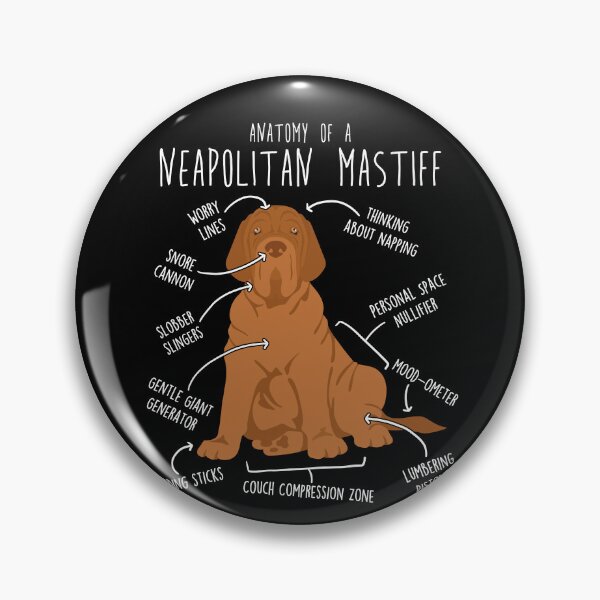 Item preview, Mahogany Neapolitan Mastiff Dog Anatomy designed and sold by Clara Hollins.