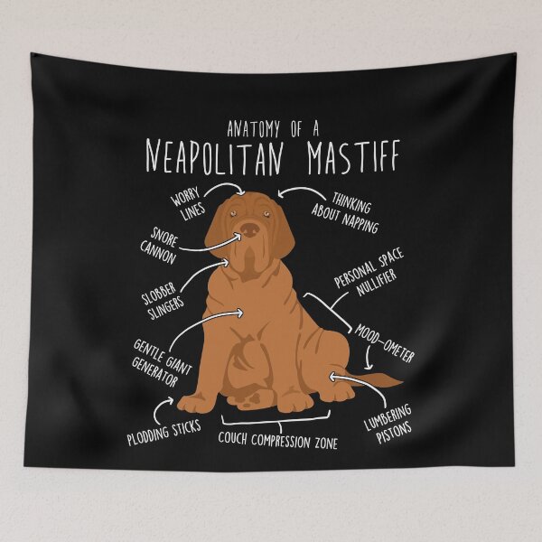 Item preview, Mahogany Neapolitan Mastiff Dog Anatomy designed and sold by Clara Hollins.