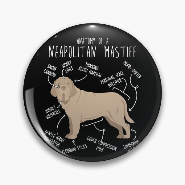 Item preview, Tawny Neapolitan Mastiff Dog Anatomy designed and sold by Clara Hollins.