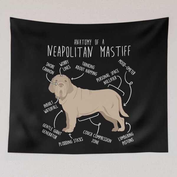 Item preview, Tawny Neapolitan Mastiff Dog Anatomy designed and sold by Clara Hollins.