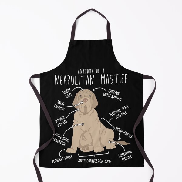 Item preview, Tawny Neapolitan Mastiff Dog Anatomy designed and sold by Clara Hollins.