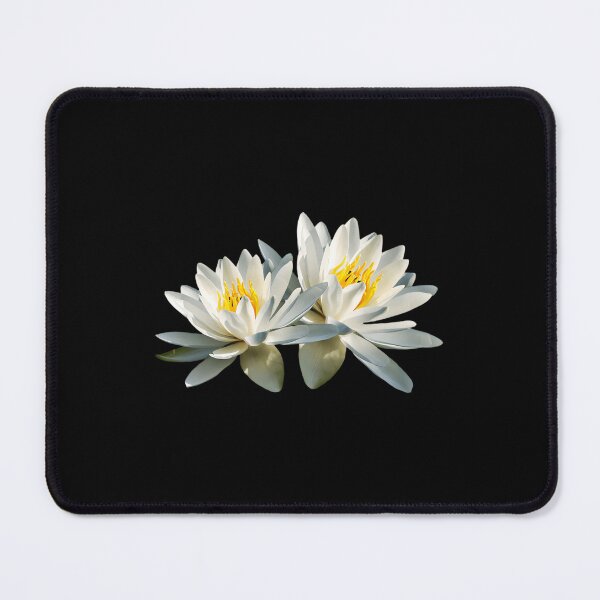 Item preview, Tropical Water Lily Christina Rollo Transparent designed and sold by nkiecxmctpl37.