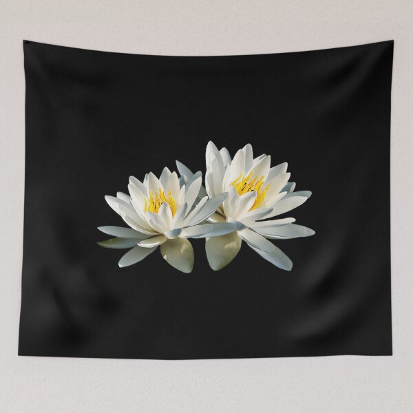 Item preview, Tropical Water Lily Christina Rollo Transparent	 designed and sold by nkiecxmctpl37.