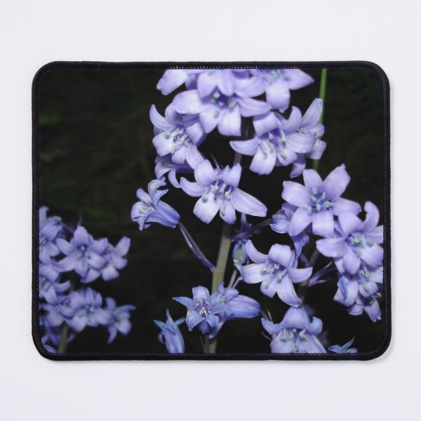 Item preview, Hyacinthoides non-scripta designed and sold by ANAEZ.