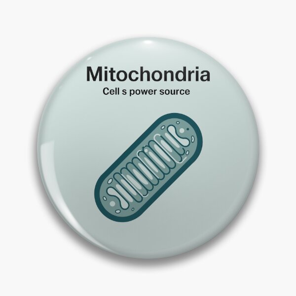 Item preview, Mitochondria Educational Poster – Minimalist Science Art Print | Biology, Classroom, Cell Diagram designed and sold by paulo silveira.