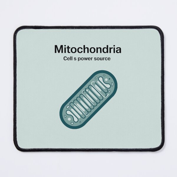 Item preview, Mitochondria Educational Poster – Minimalist Science Art Print | Biology, Classroom, Cell Diagram designed and sold by paulo silveira.