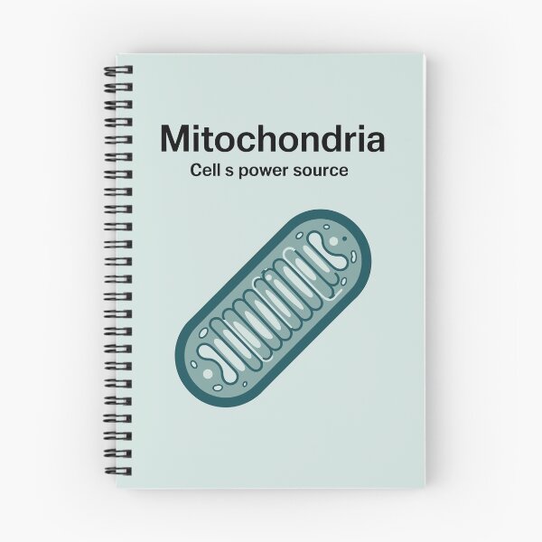 Item preview, Mitochondria Educational Poster – Minimalist Science Art Print | Biology, Classroom, Cell Diagram designed and sold by paulo silveira.