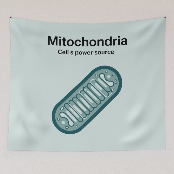 Item preview, Mitochondria Educational Poster – Minimalist Science Art Print | Biology, Classroom, Cell Diagram designed and sold by paulo silveira.
