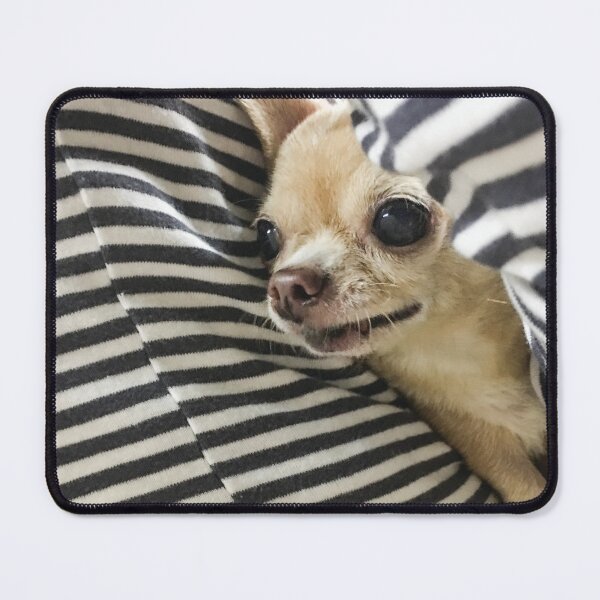 Item preview, hugging cute chihuahua dog  designed and sold by storieslanguage.