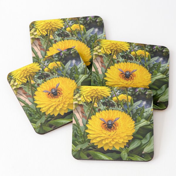 Item preview, Yellow Strawflower Landing Pad designed and sold by dcroffe.
