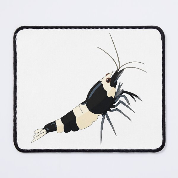 Item preview, Crystal Black Shrimp (Caridina cantonensis) designed and sold by My-Thing.