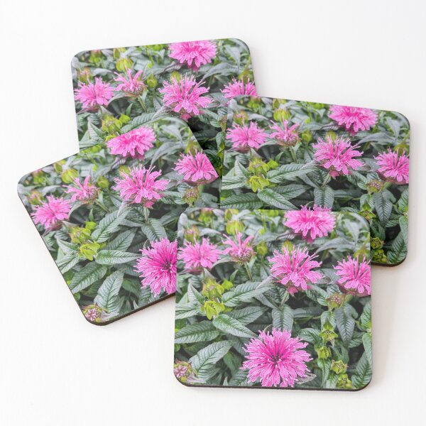 Item preview, A Group of Lavender Wild Bee Balm flowers designed and sold by dcroffe.