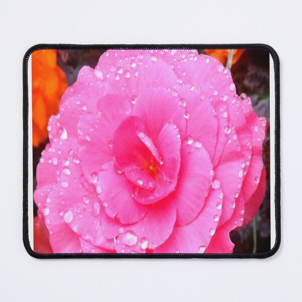 Item preview, Raining beauty designed and sold by Vivid8photos.