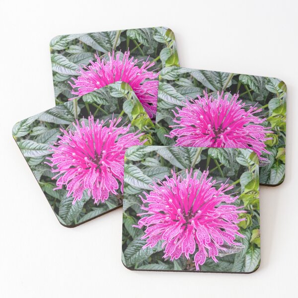 Item preview, Lavender Wild Bee Balm flower designed and sold by dcroffe.