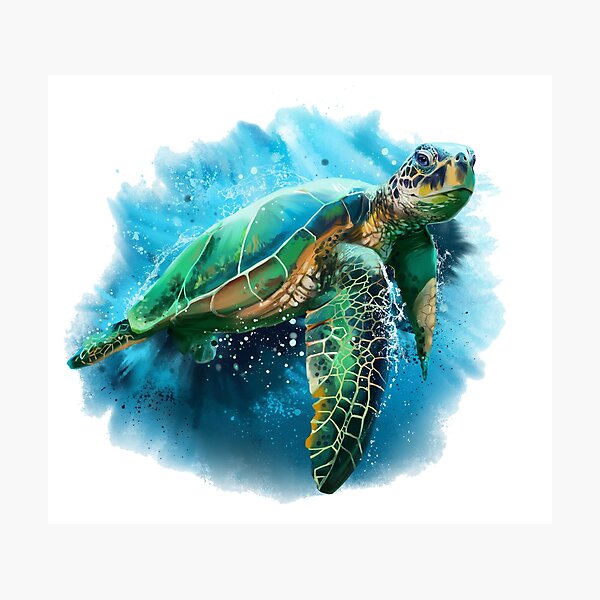 turtle in water painting