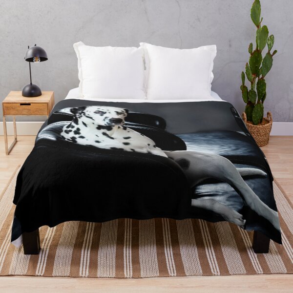 Item preview, Dalmatian Attitude Lounge Modern Black & White Dog Wall Art | Minimalist Pet Photography designed and sold by Pjotre7.