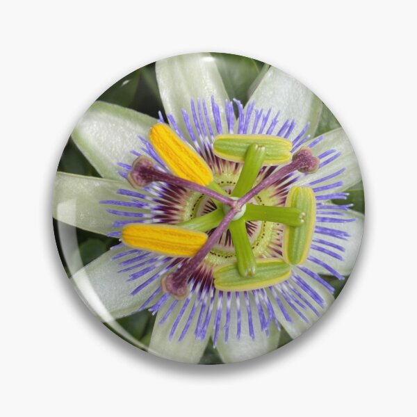 Item preview, Passion Flower designed and sold by Kate Anderson Art.