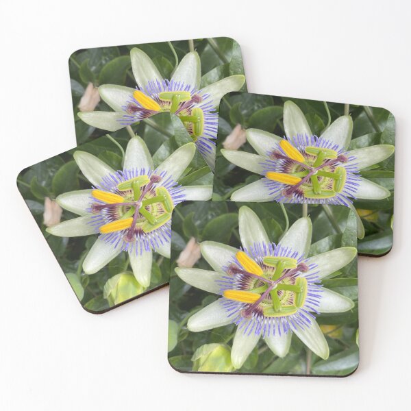 Item preview, Passion Flower designed and sold by Kate Anderson Art.
