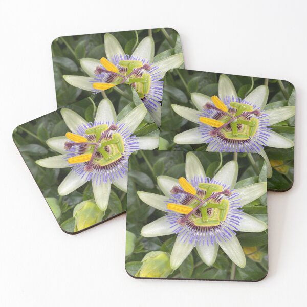 Item preview, Passion Flower designed and sold by Kate Anderson Art.