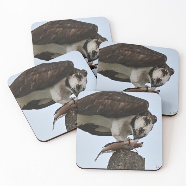 Item preview, Osprey eating its catch  designed and sold by Glennphotos.