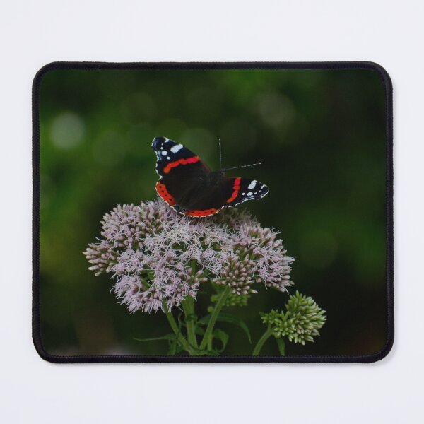Item preview, The Red Admiral designed and sold by picturesources.