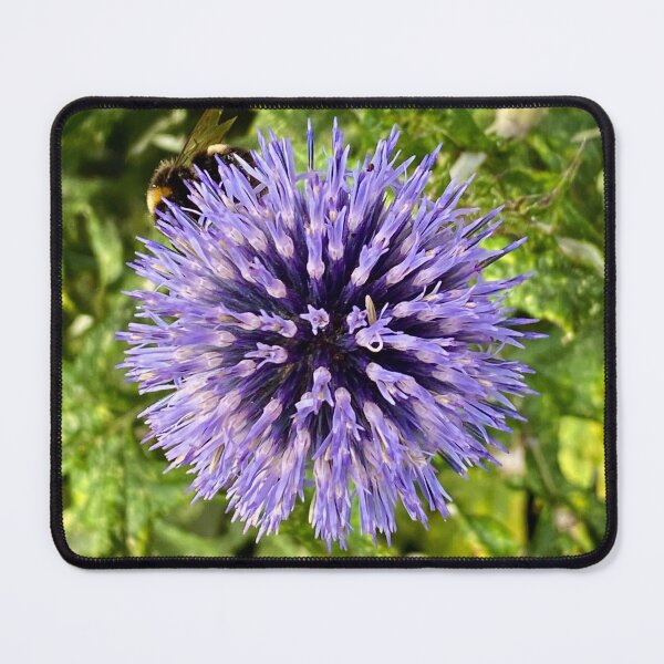 Item preview, Bee on a Globe Thistle designed and sold by Kate Anderson Art.