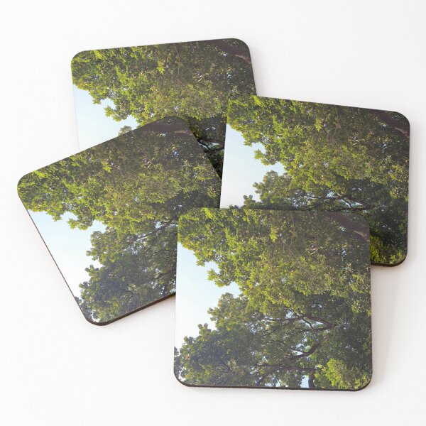 Item preview, Trees of Fortaleza designed and sold by RichSt.