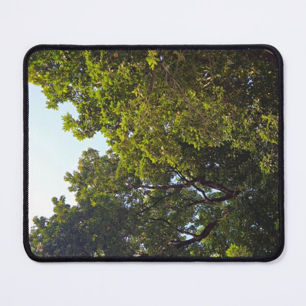 Item preview, Trees of Fortaleza designed and sold by RichSt.