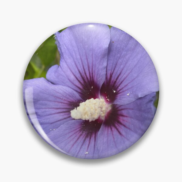 Item preview, Hibiscus syriacus designed and sold by Kate Anderson Art.