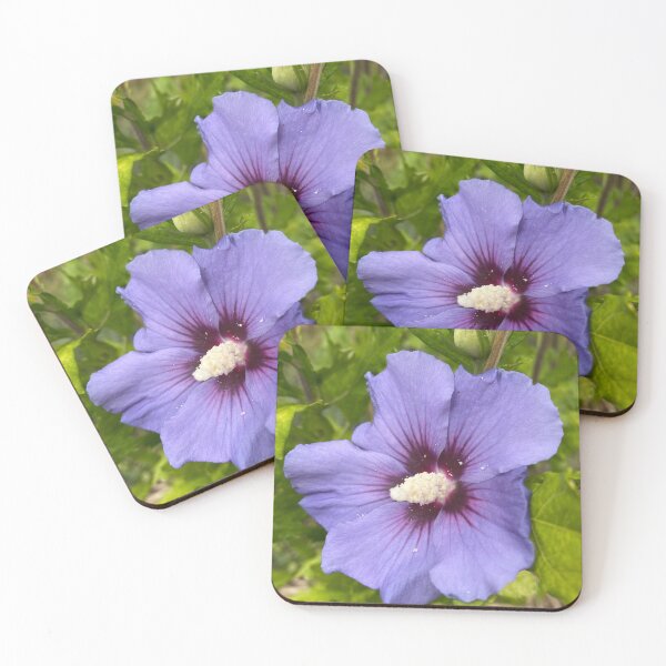 Item preview, Hibiscus syriacus designed and sold by Kate Anderson Art.