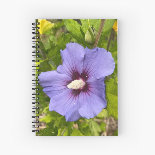 Item preview, Hibiscus syriacus designed and sold by Kate Anderson Art.