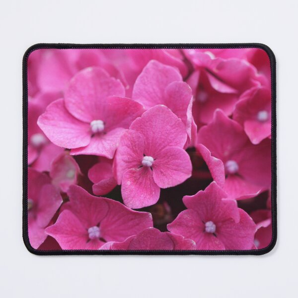 Item preview, Pink Hydrangea designed and sold by Kate Anderson Art.