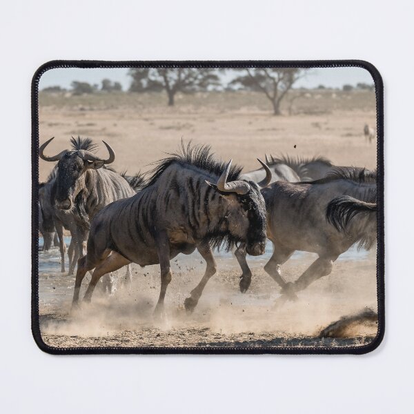 Item preview, Savanna Clash — Wildebeest Kicking Up Dust at the Waterhole designed and sold by DavideAntoniani.