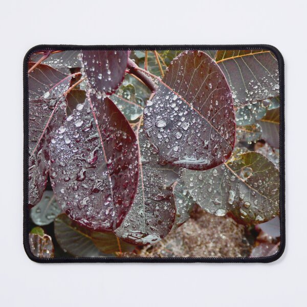 Item preview, Smoke Bush and Droplets of Rain designed and sold by Kate Anderson Art.