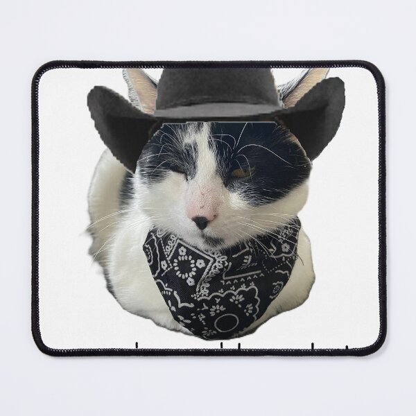 Item preview, you've yee'd your last haw cowboy cat designed and sold by scrapbookcats.