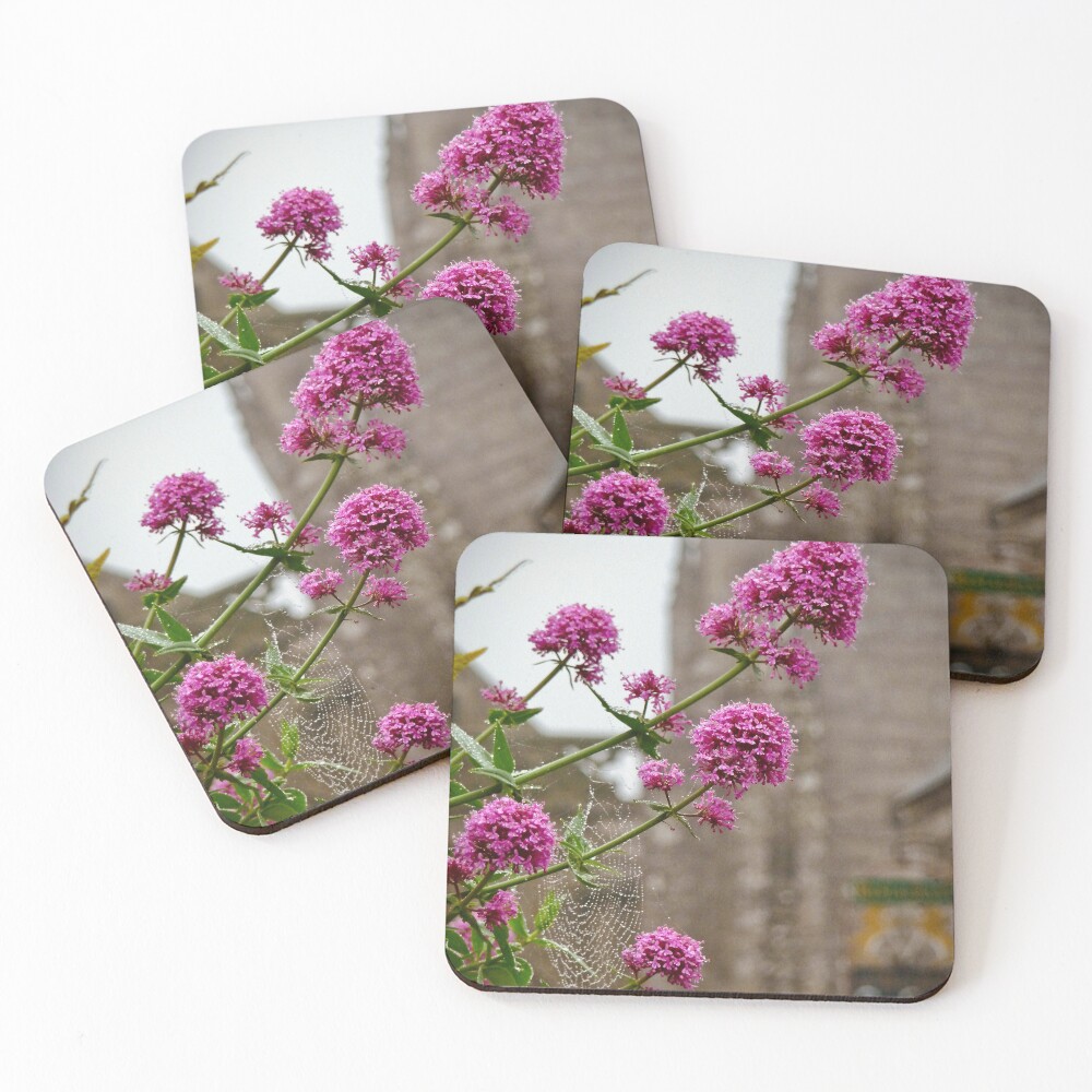 Item preview, Coasters (Set of 4) designed and sold by ANAEZ.